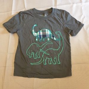 Dinosaur Toddler Boys T Shirt